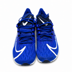 Nike Zoom Rival Fly|EUR|42|leftover unused