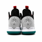 Nike LeBron Witness 4|EUR|44.5|leftover unused